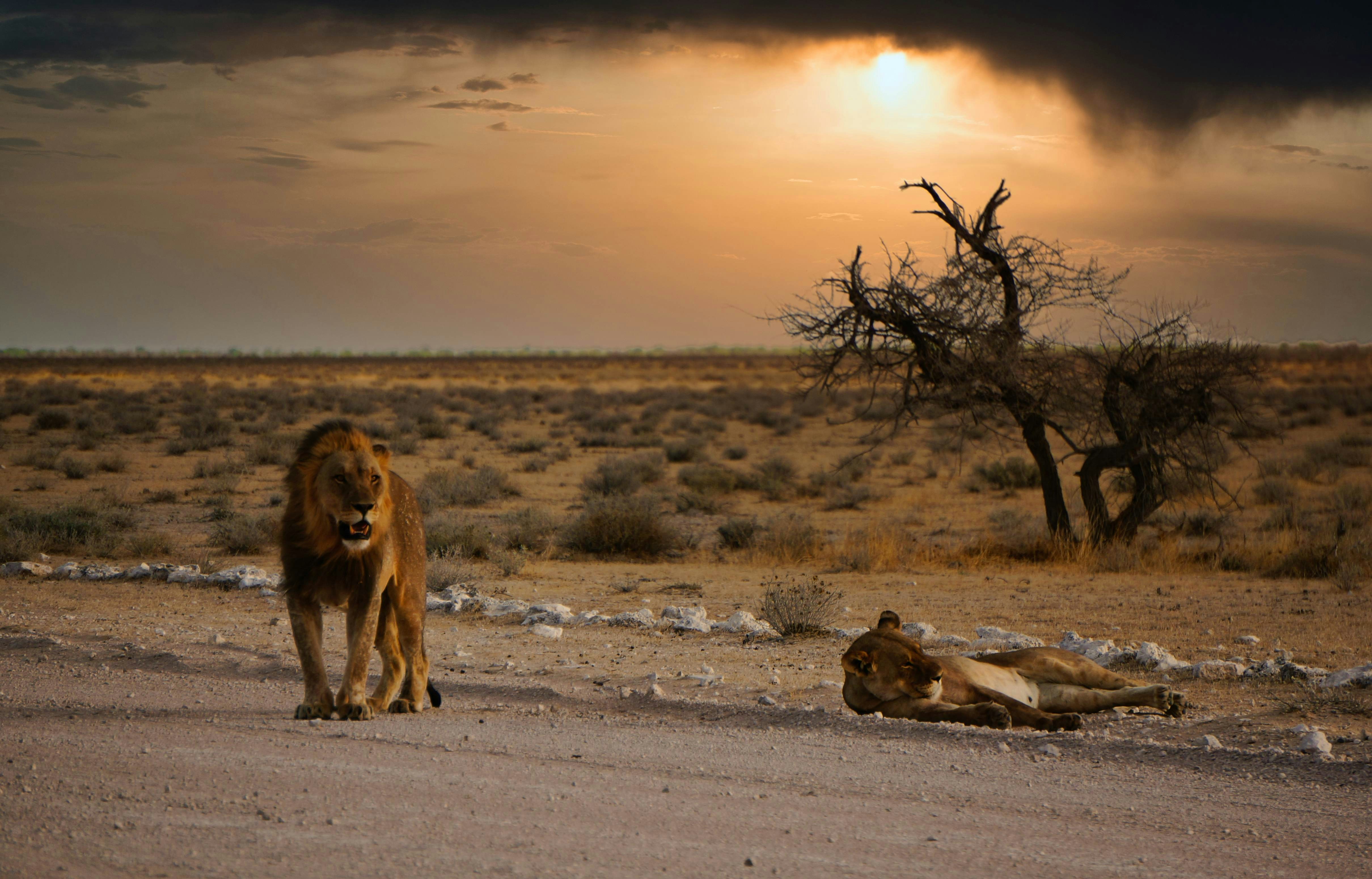 Namibia