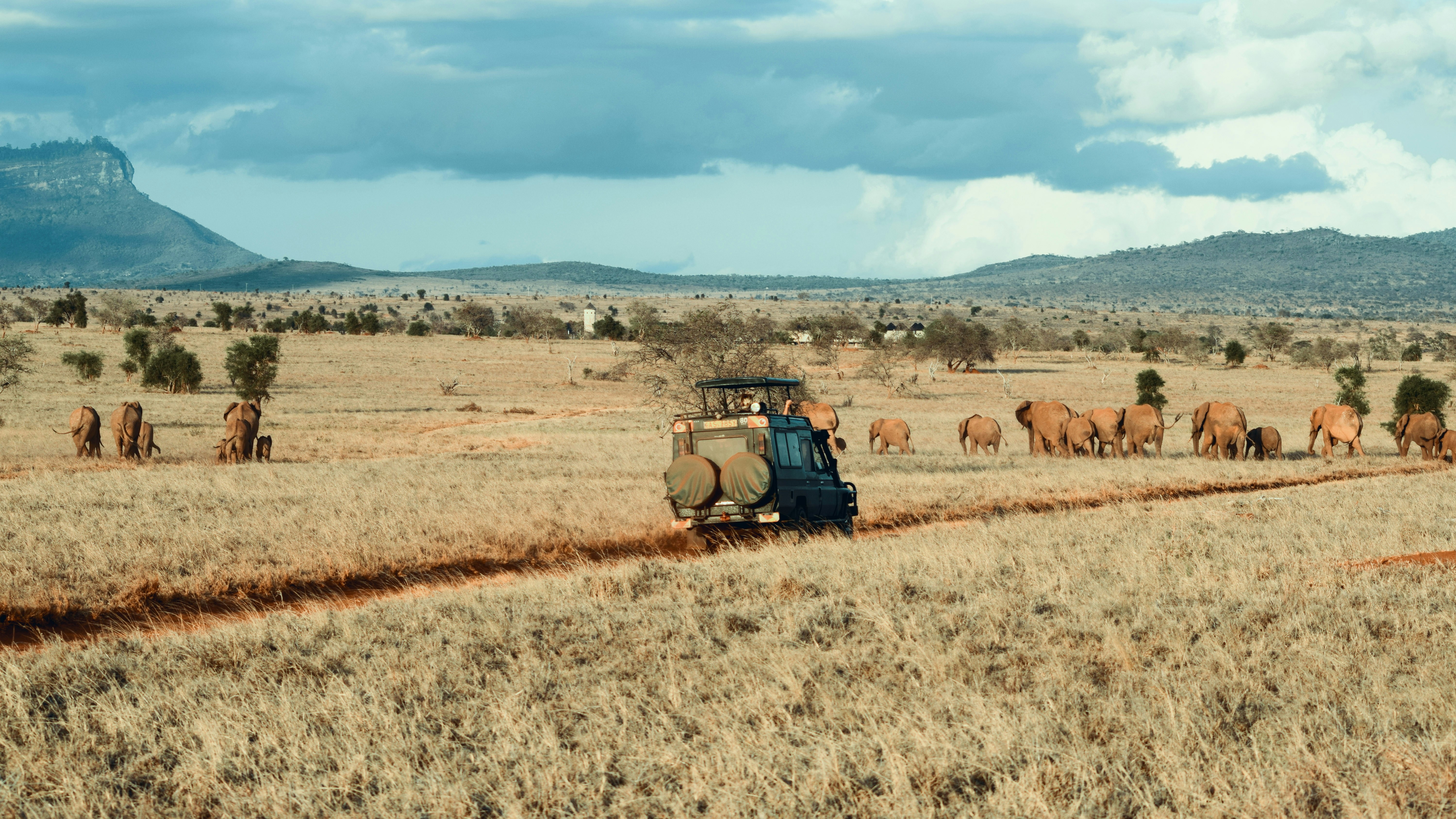 Zimbabwe safari — Victoria Falls, Hwange and canoe safaris on the Zambezi — Esiankiki Tours