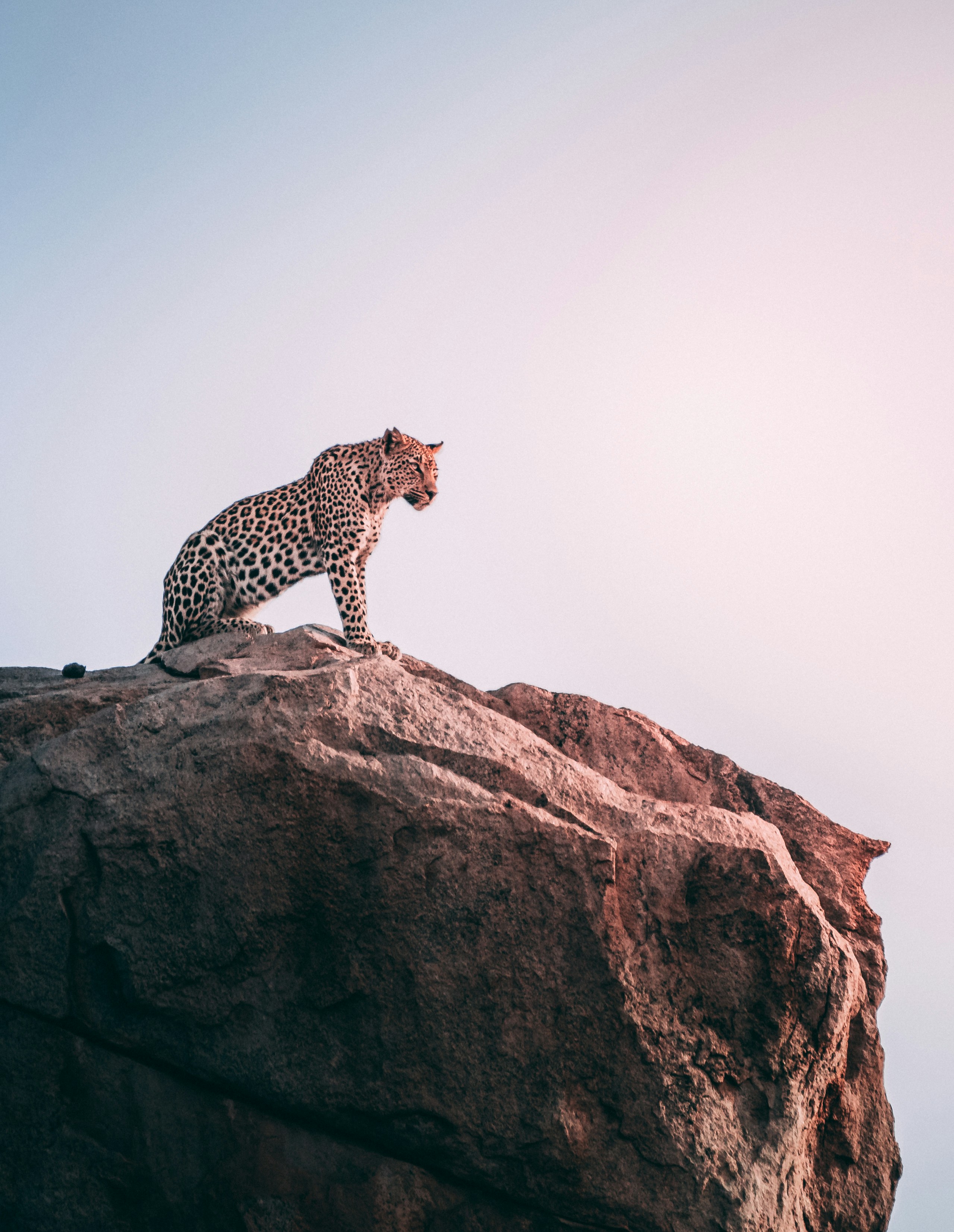 South Africa