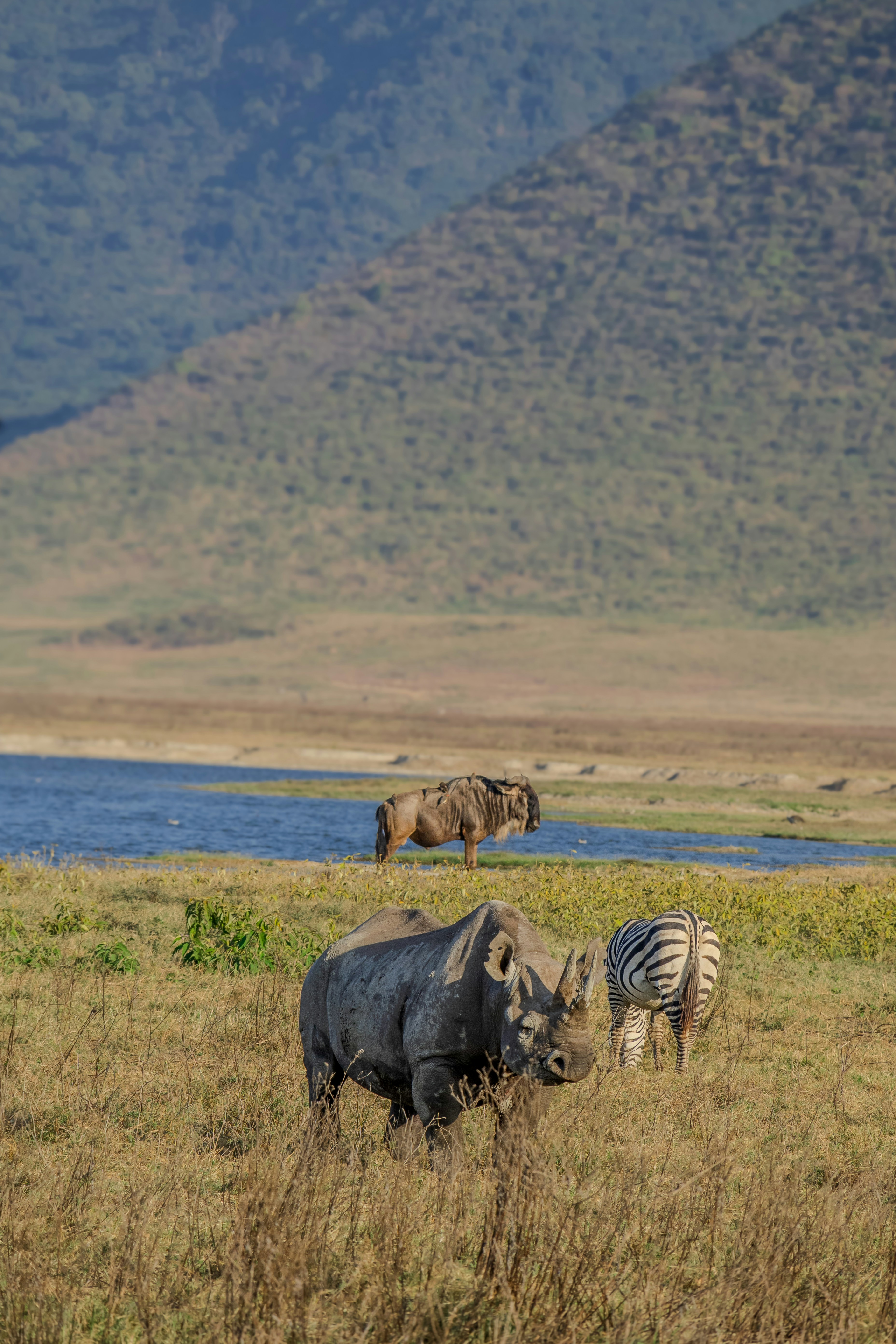 Kenya & Tanzania Classic — Kenya & Tanzania — Esiankiki Tours