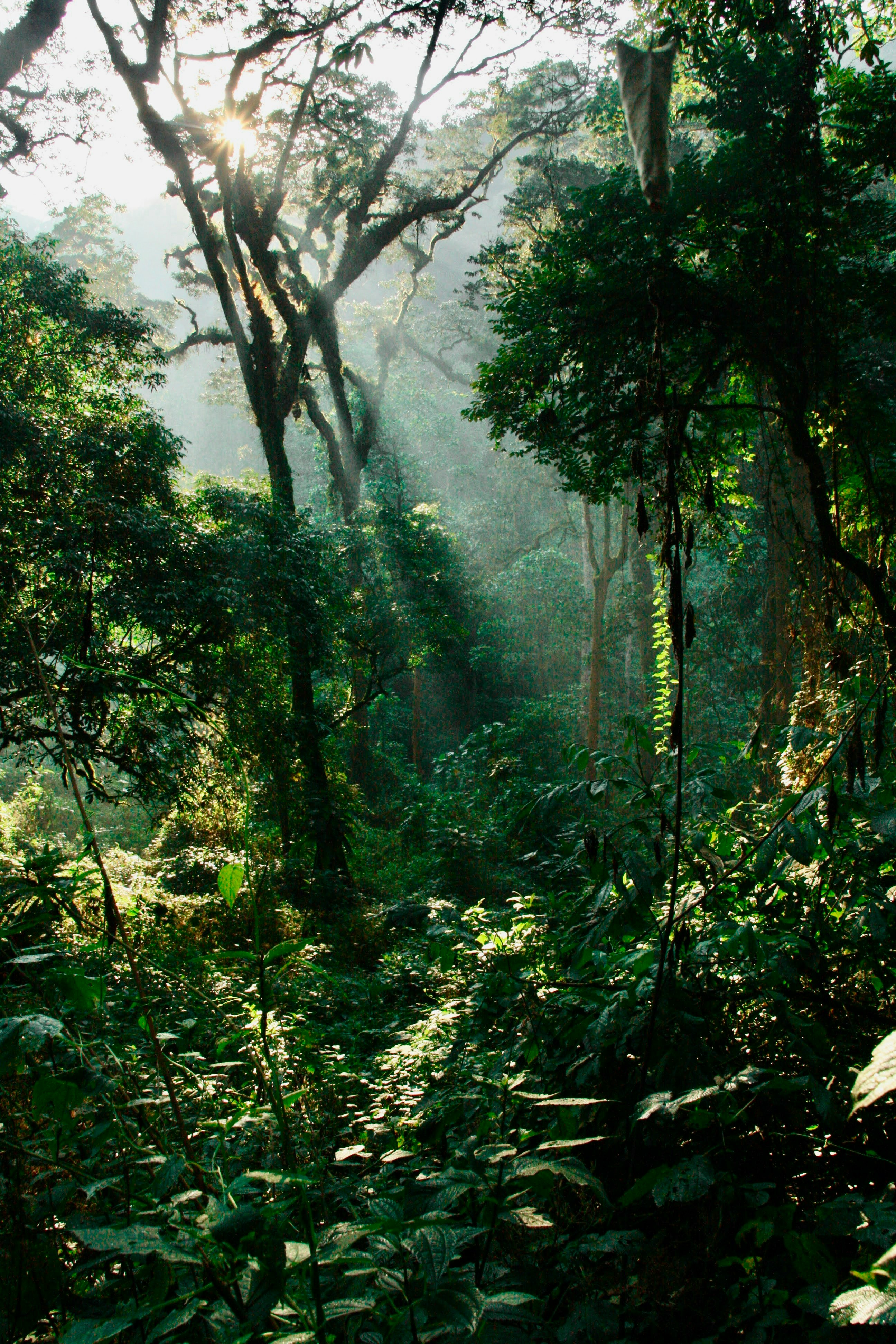 Commitment to Sustainable Tourism — Esiankiki Tours