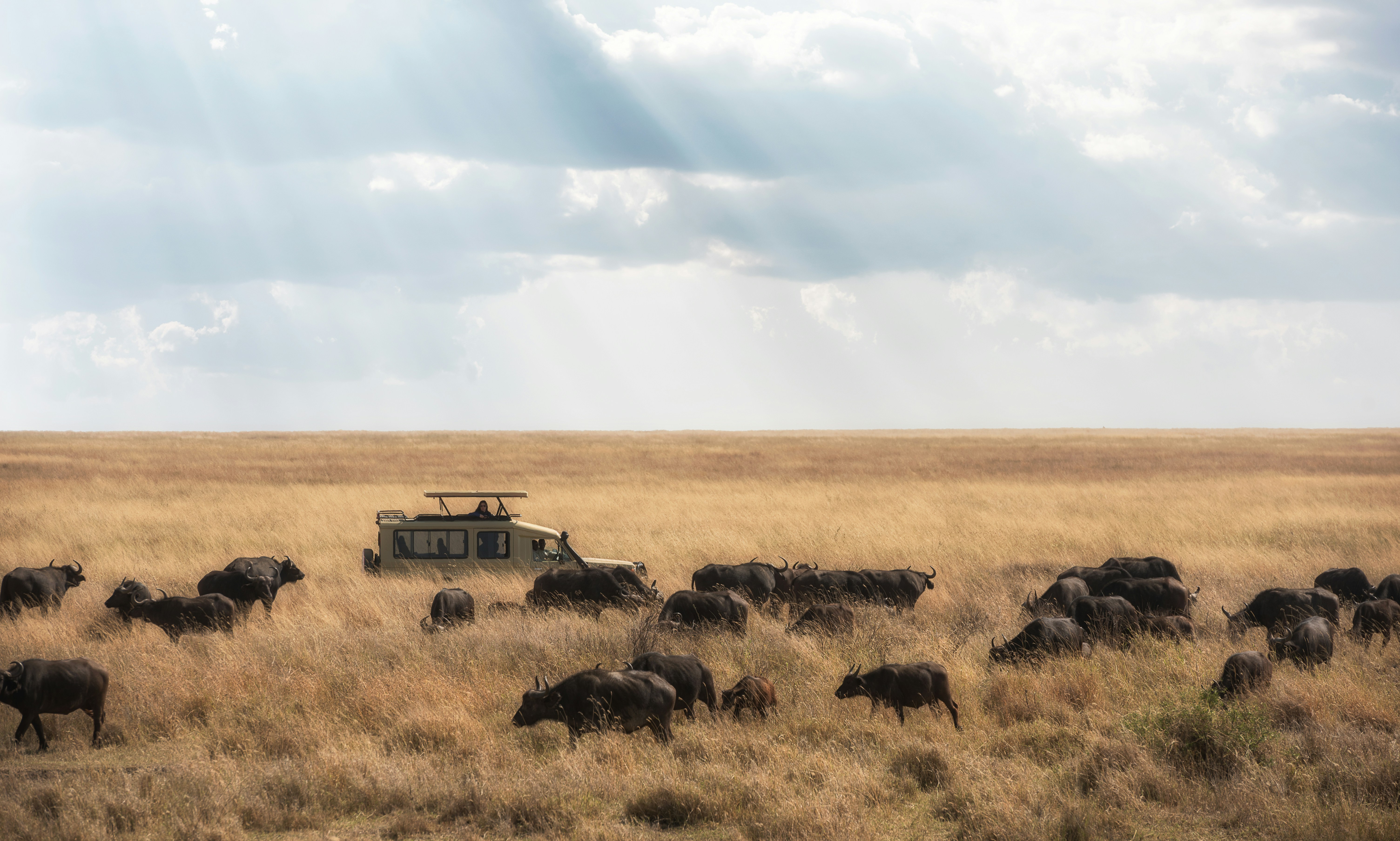 Maasai Mara safari — Kenya's greatest wildlife reserve — home of the Great Migration — Esiankiki Tours