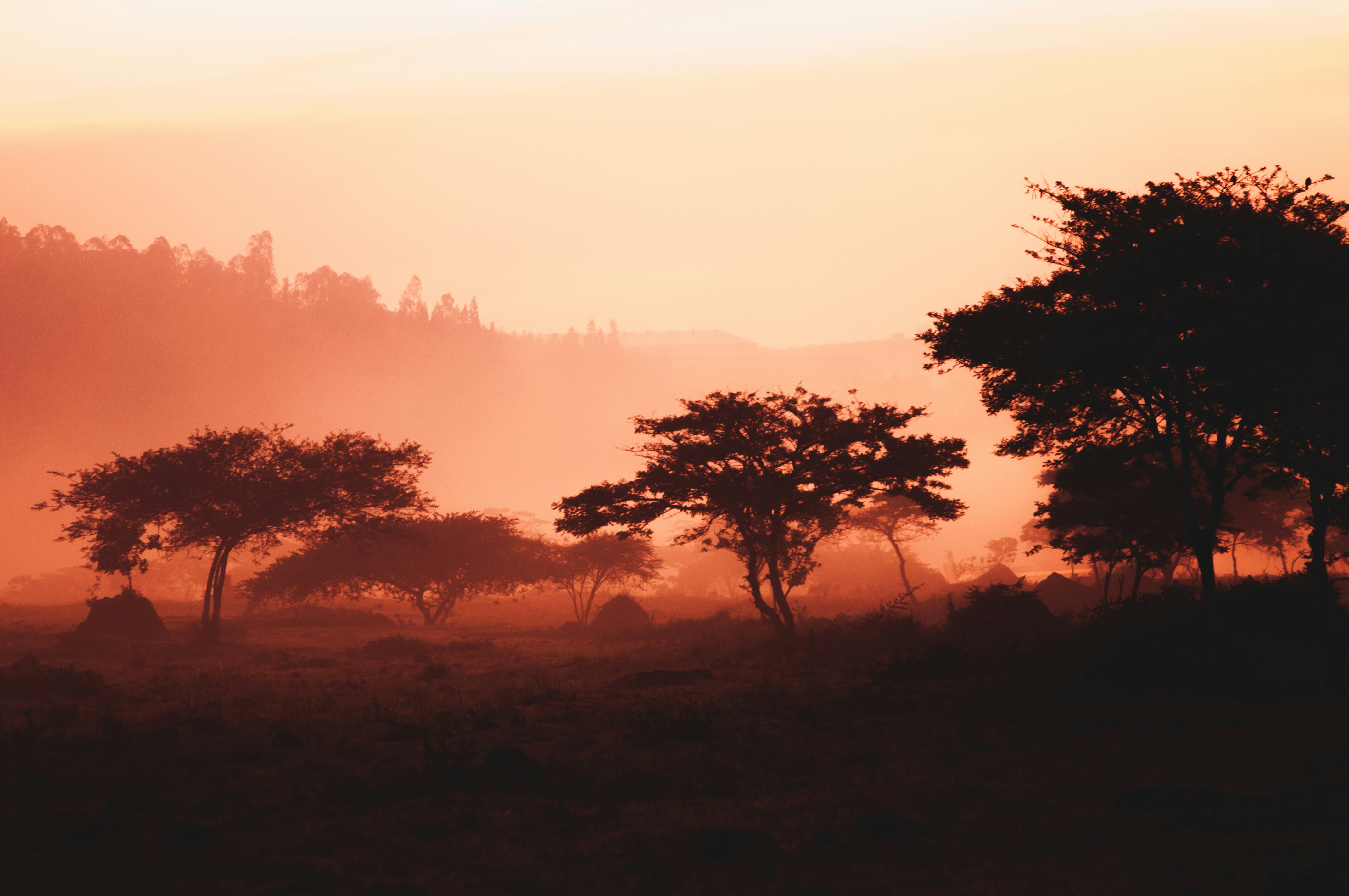 Balloon Safari Over the Maasai Mara — Experiences — Esiankiki Tours