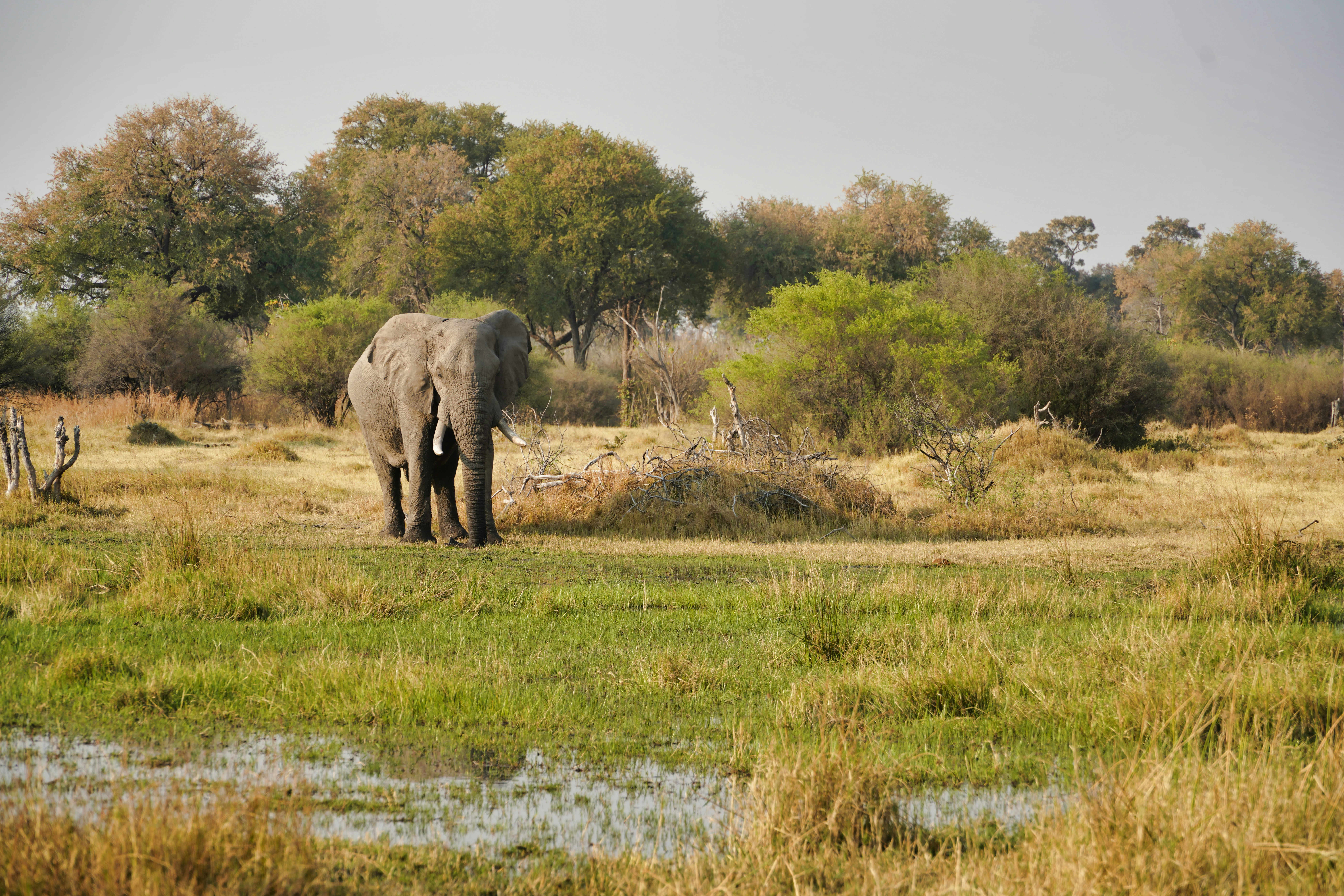 Tsavo & Mombasa — Kenya — Esiankiki Tours