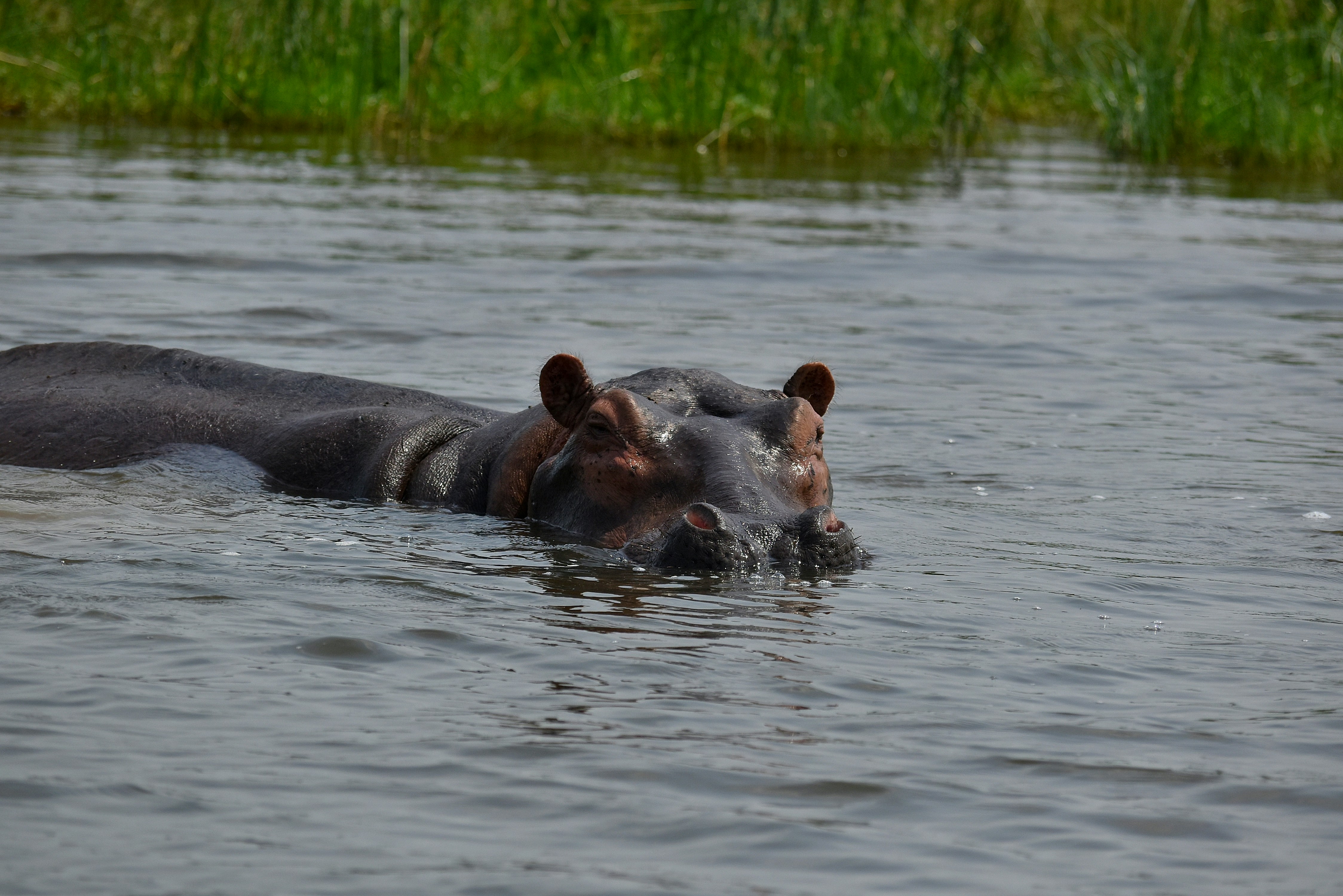 Botswana safari — Okavango Delta, Chobe and pristine wilderness — Esiankiki Tours