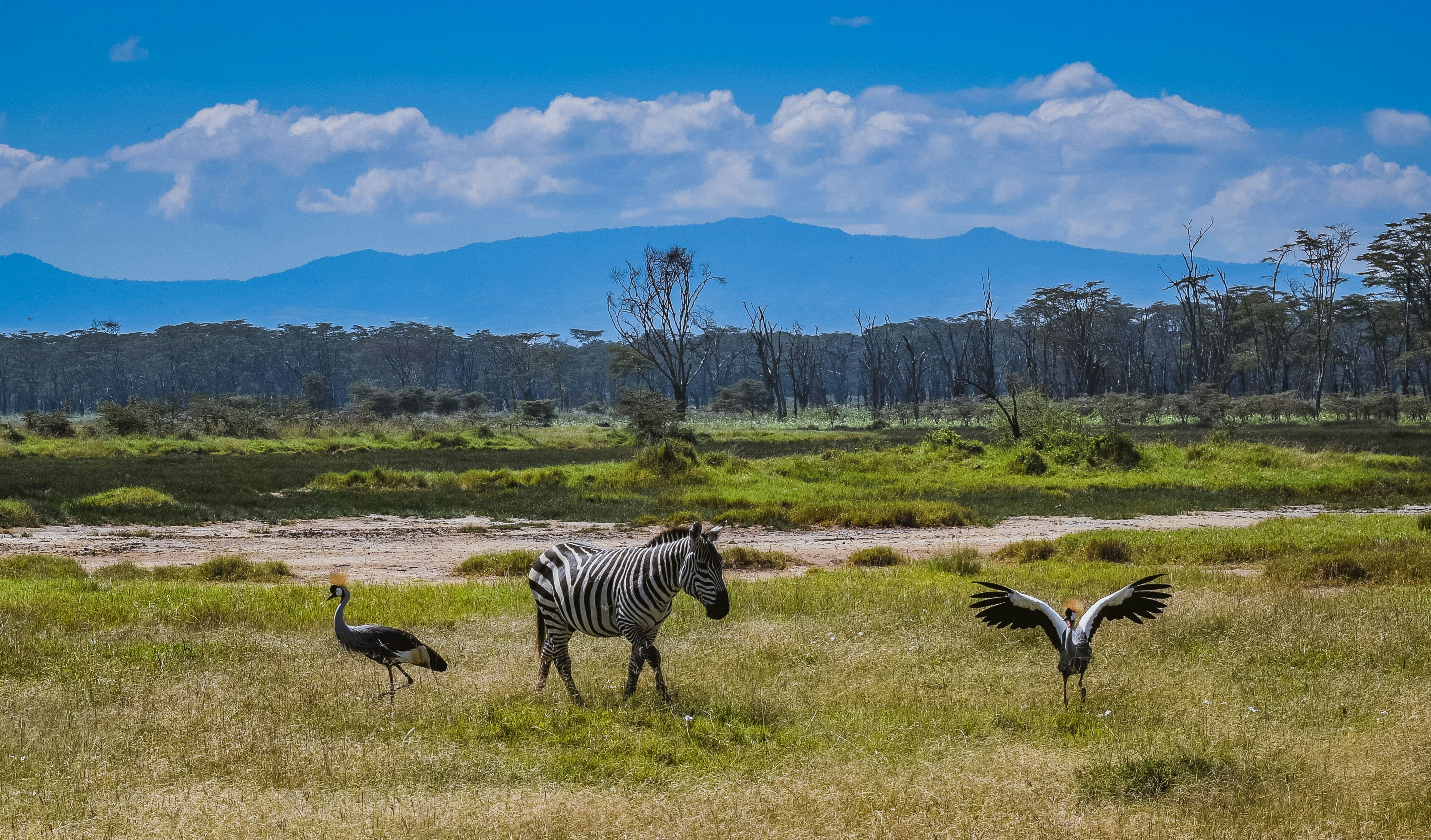 Botswana safari — Okavango Delta, Chobe and pristine wilderness — Esiankiki Tours
